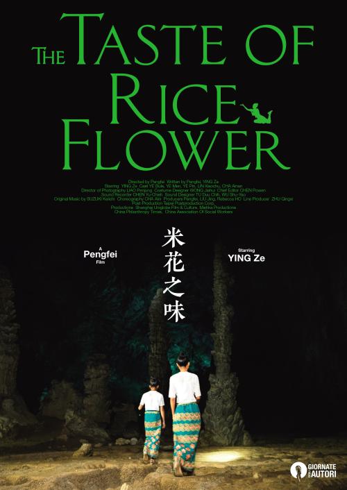 驾照丢了去哪补办